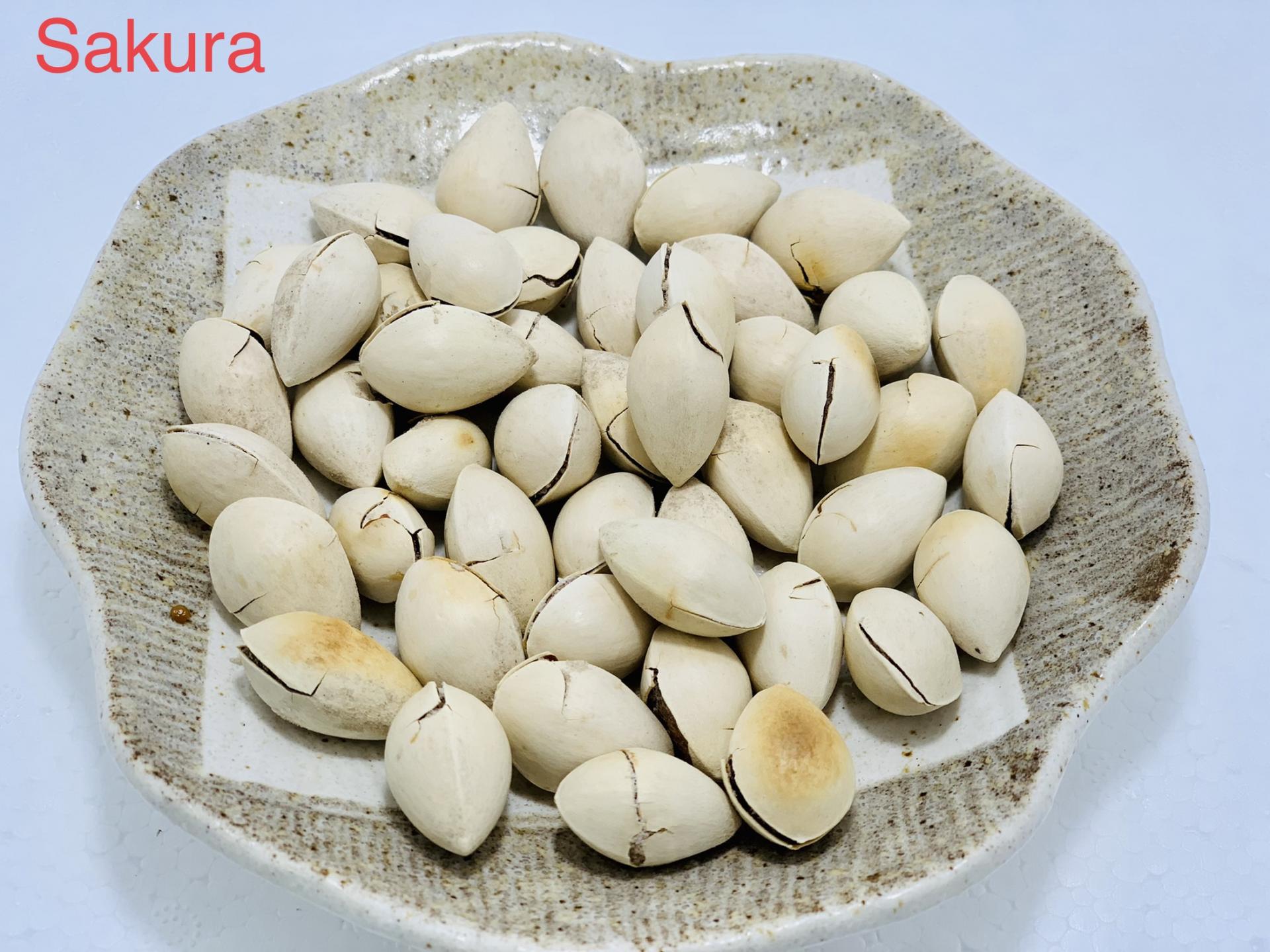 HÀNG DƯƠNG QUÁN & HÀNG DƯƠNG SAKURA