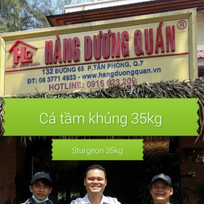CÁ TẦM KHỦNG