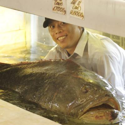 Hàng Dương Quán nhận giao mồi nhậu tận nhà